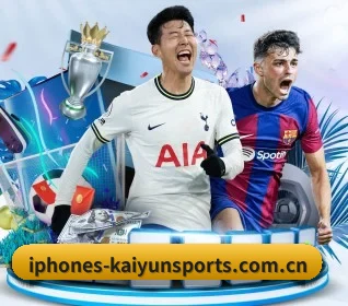 开云体育APP APP 界面
